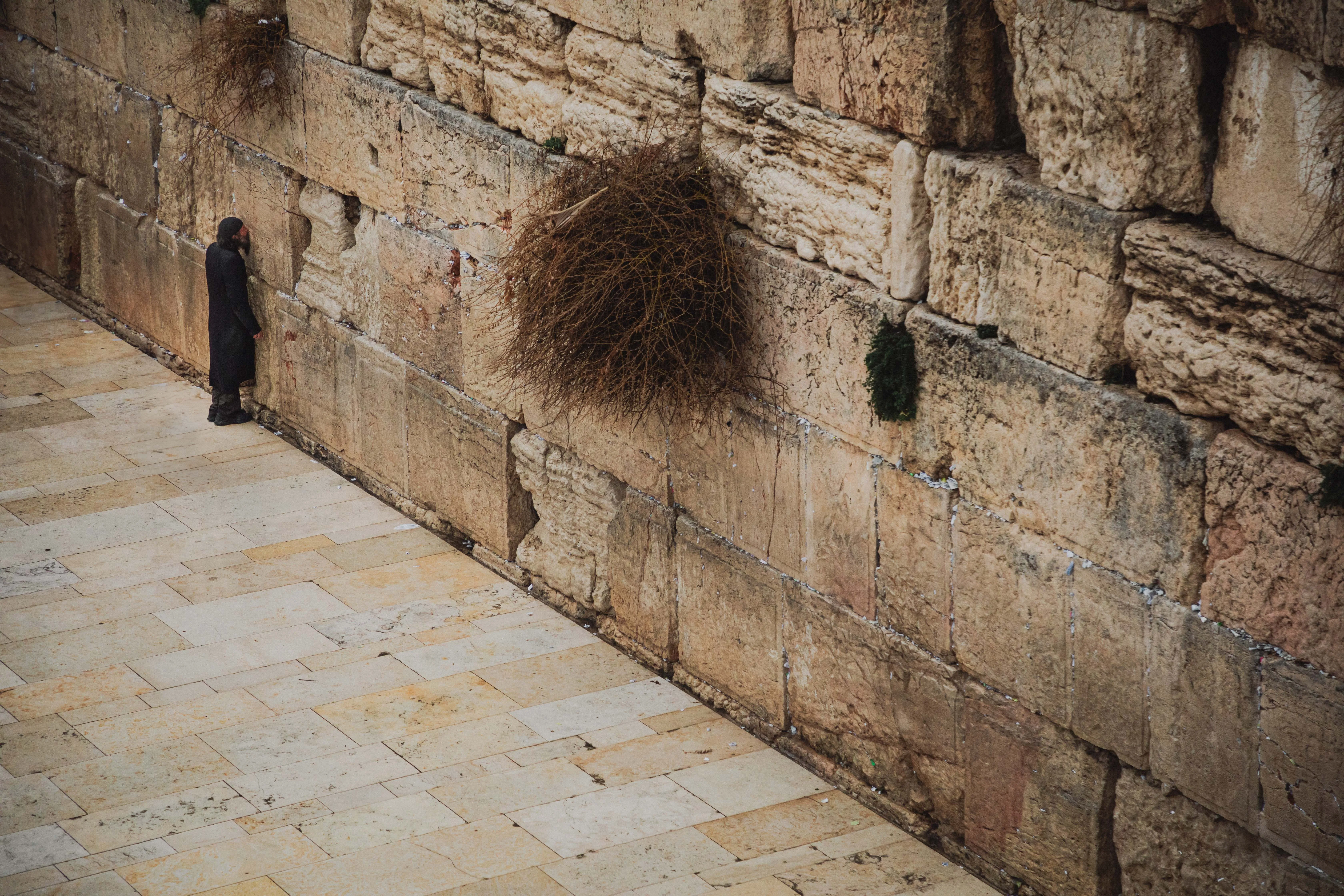 Murmuration — 90 × 60 cm — Romain Berthiot