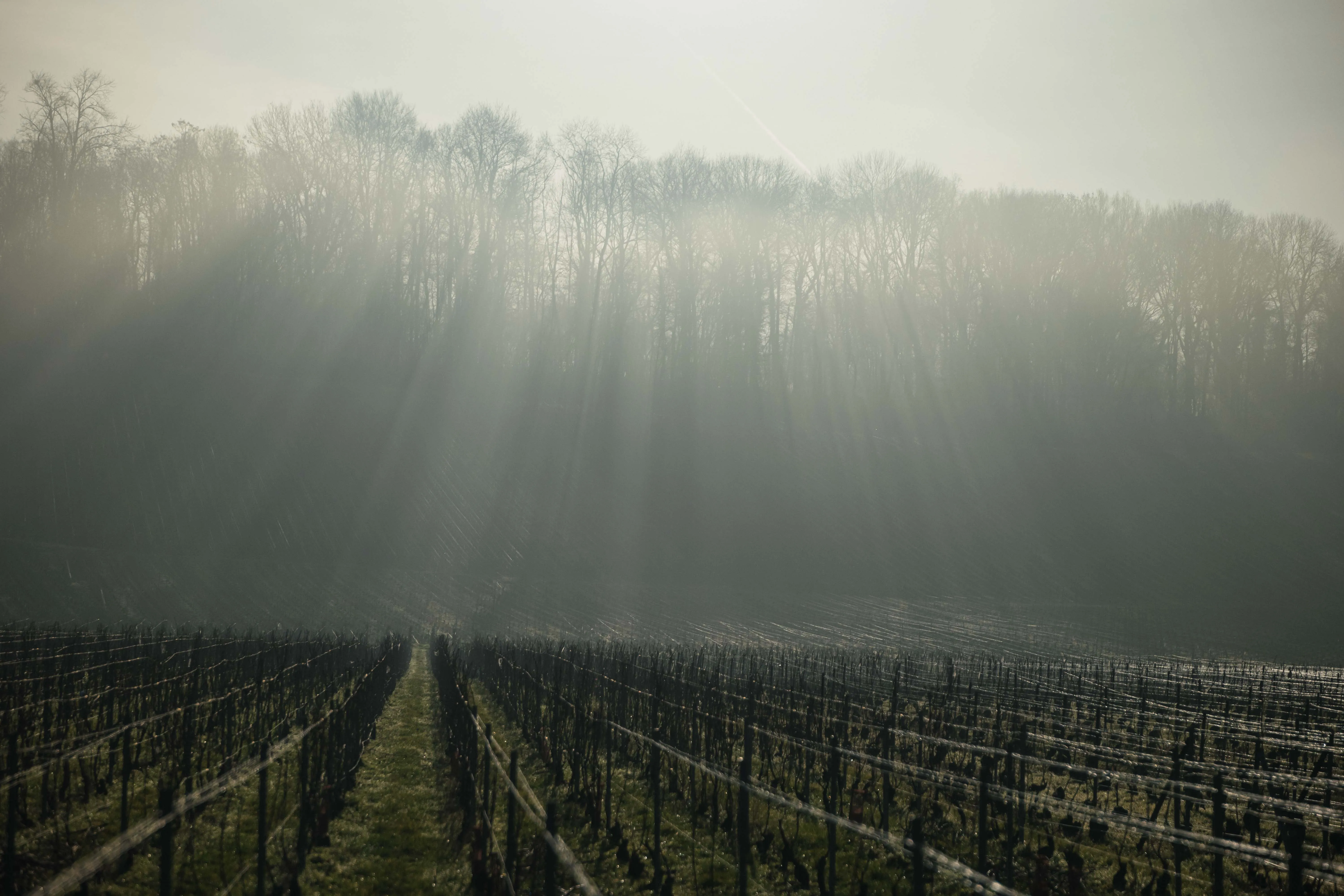 Initiation — 120 × 80 cm — Romain Berthiot