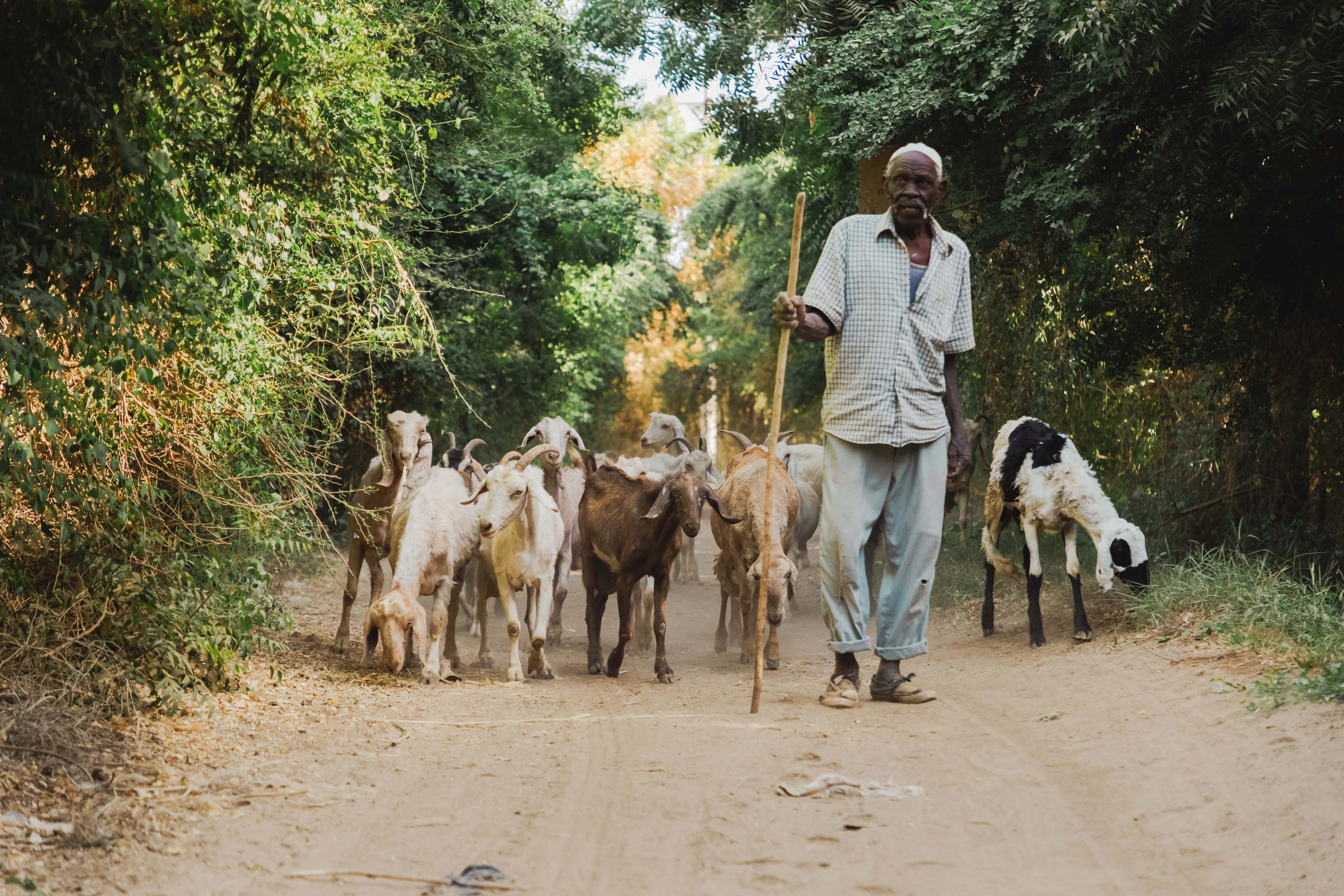 Direction — 80 × 54 cm — Romain Berthiot