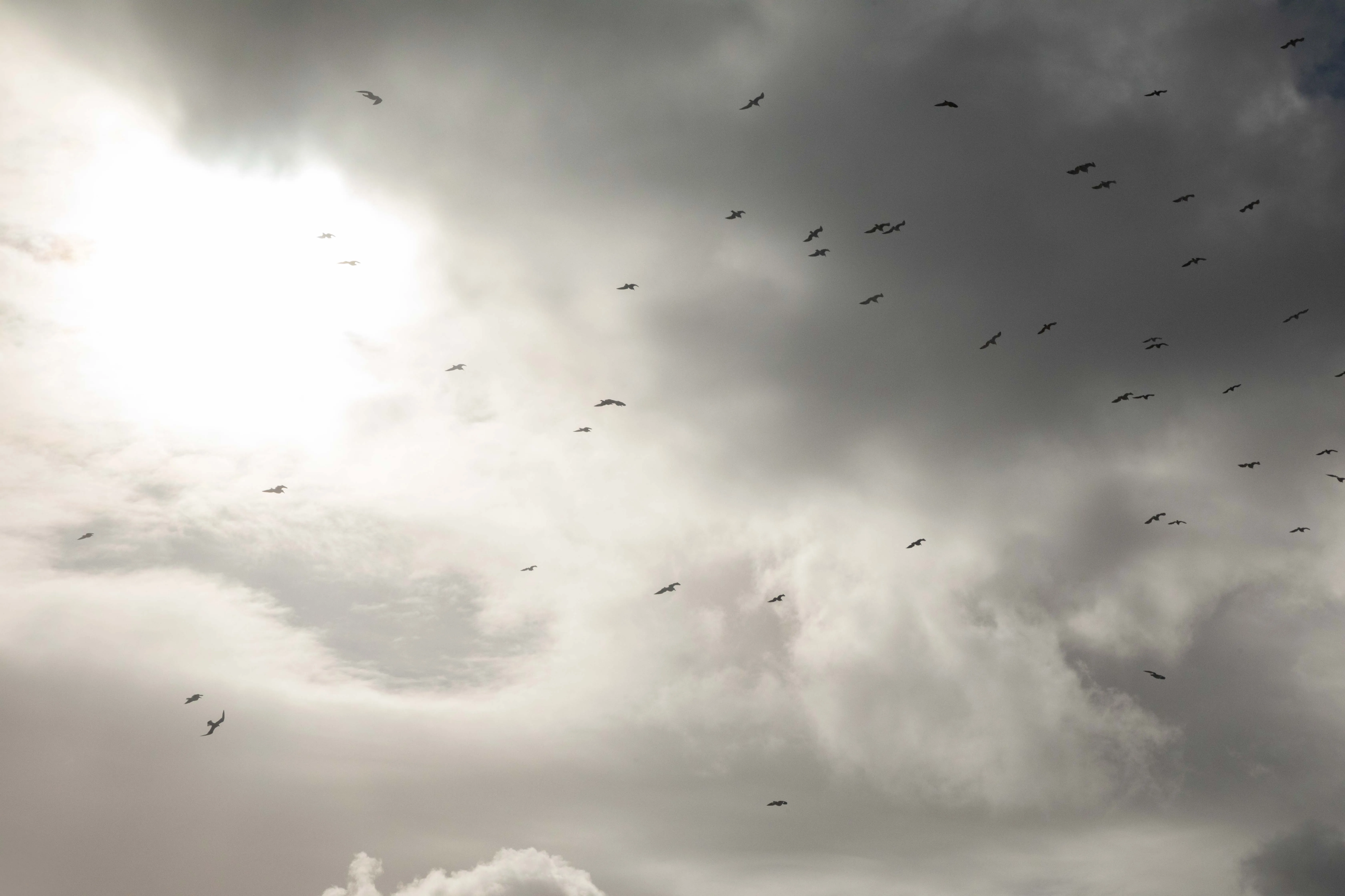 Romain Berthiot — Or Champs : In Vitraux