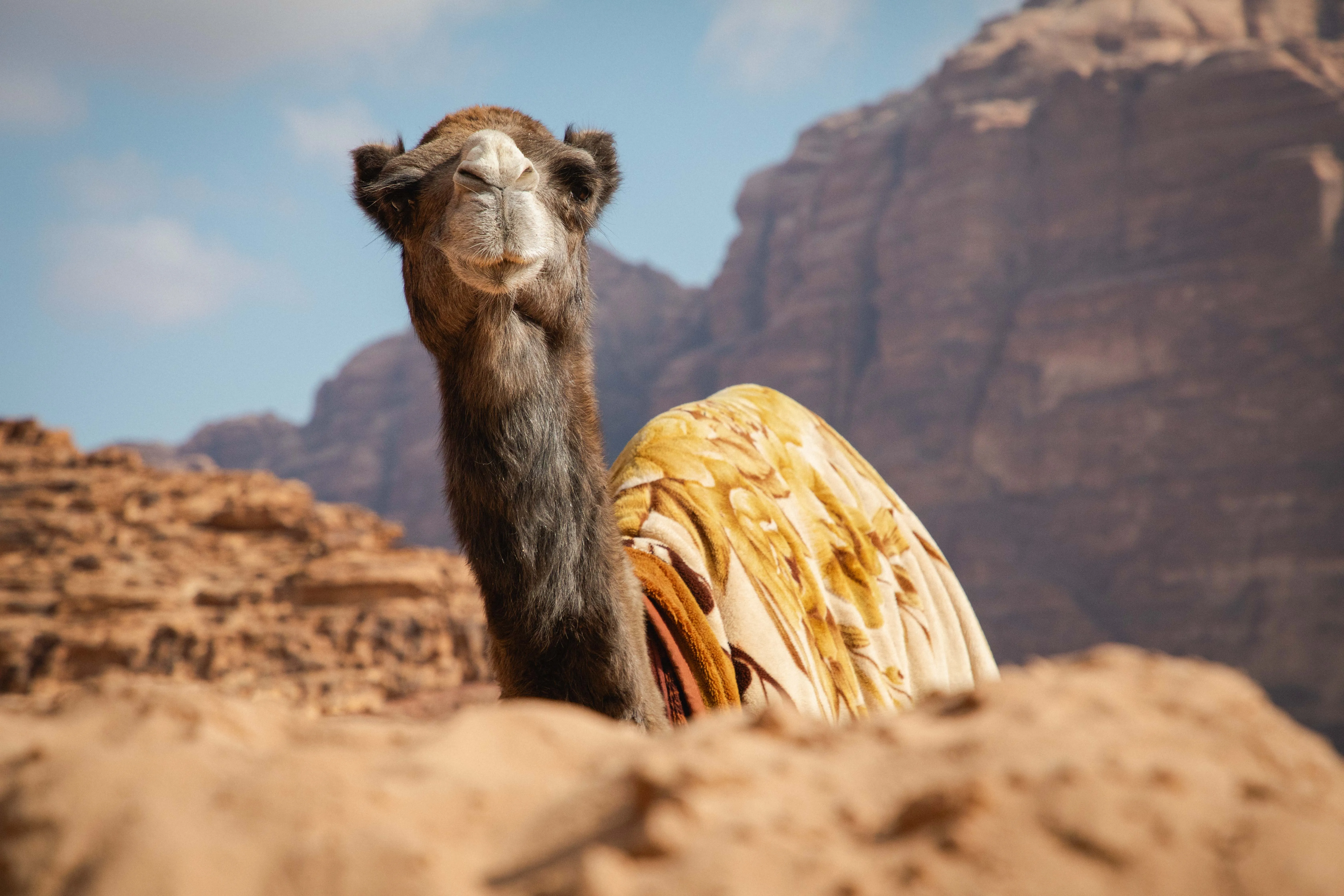 Dépression — 90 × 60 cm — Romain Berthiot